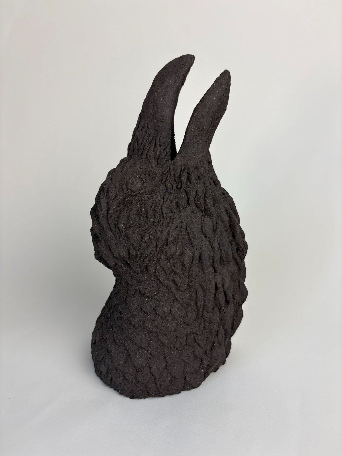 Raven Head Sculpture